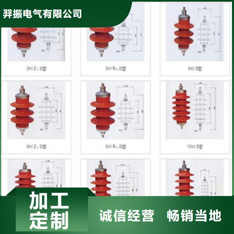 避雷器Y10W-100/248【羿振电力】