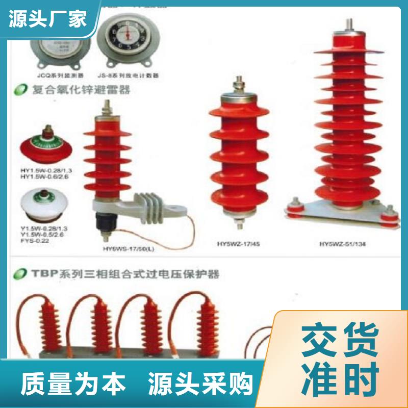 避雷器Y5W5-102/266【羿振电气】