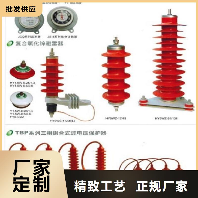 避雷器Y10W5-100/260【羿振电气】