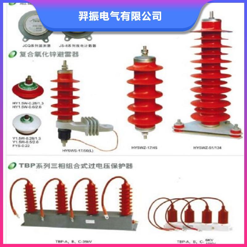 避雷器Y5WS-17/50【羿振电力】