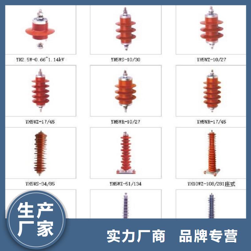 避雷器Y10W1-96/232【浙江羿振电气有限公司】