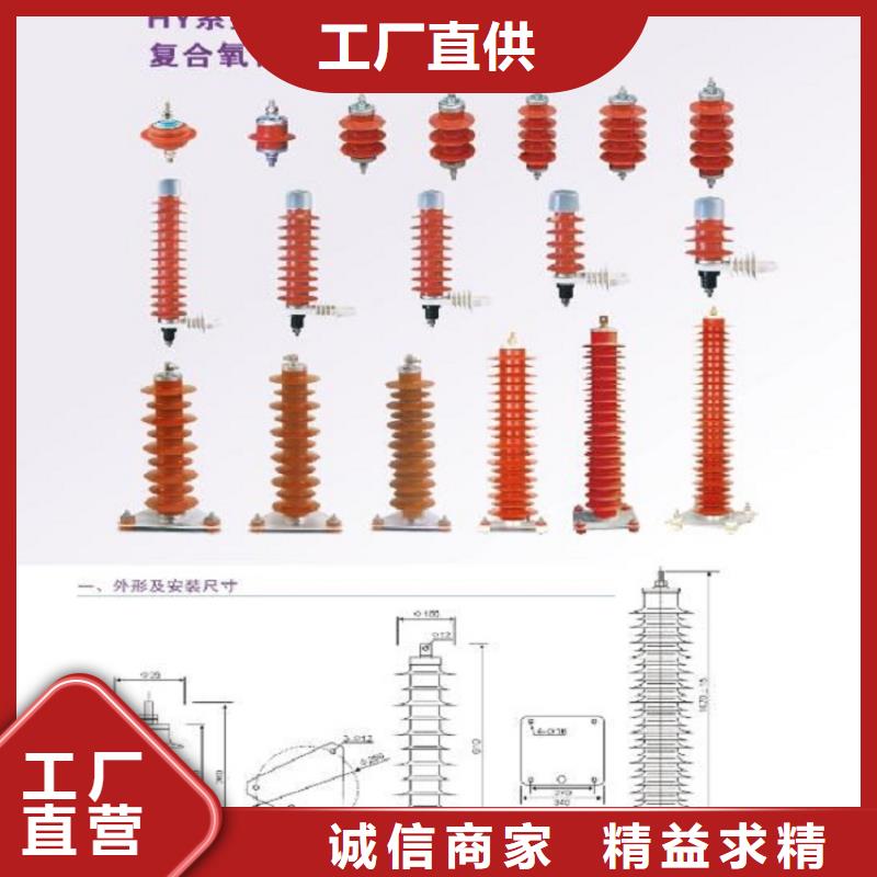 避雷器Y5W1-96/250GW氧化锌避雷器金属氧化物避雷器厂家