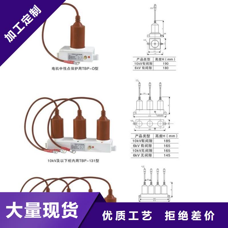 【组合式避雷器】TBP-A-42F/630W