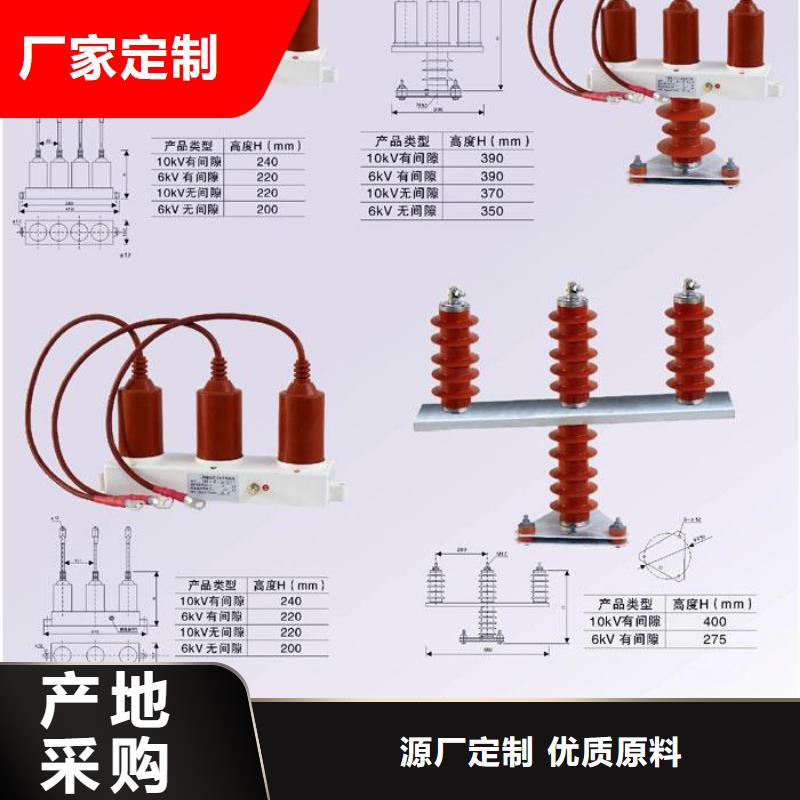 〖过电压保护器〗TBP-A-7.6/85欢迎来电