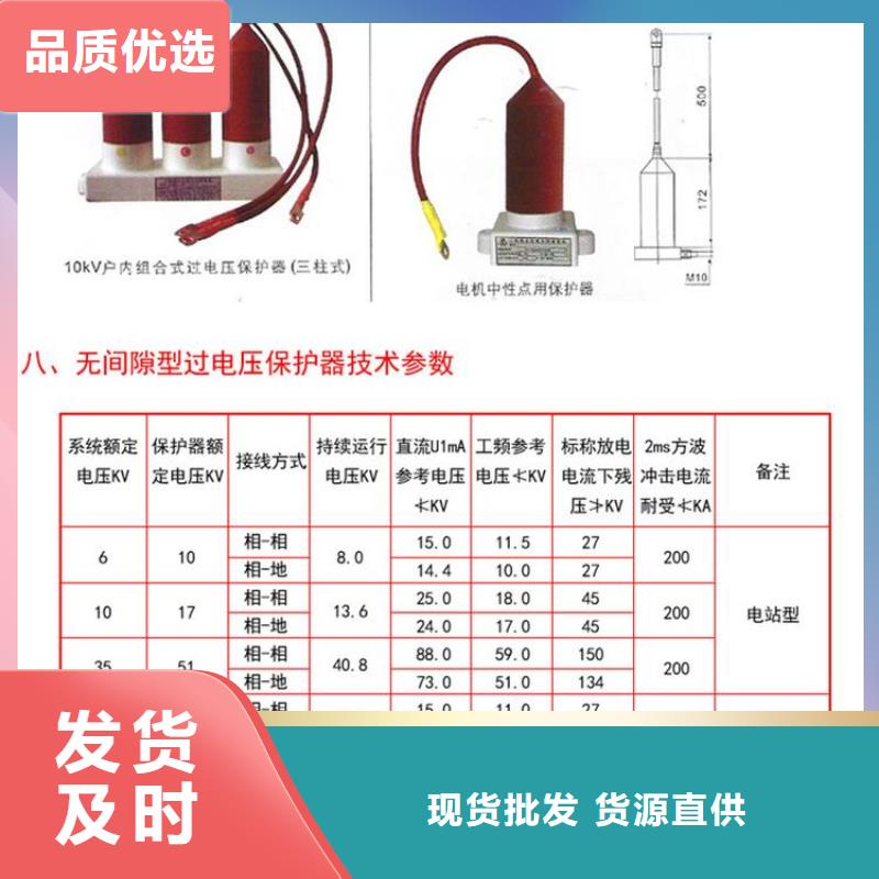 〖过电压保护器〗BSTG-C-6.3源头好货