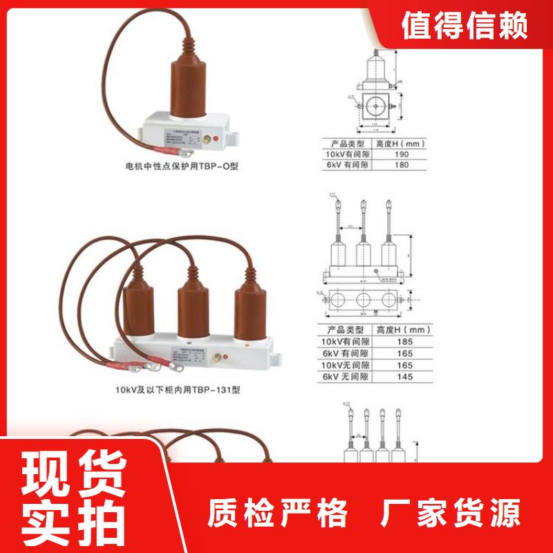 过电压保护器TBP-B/F-10.5