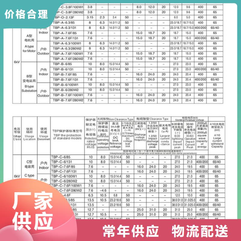 保护器(组合式避雷器)YHB5WZ-10/27*10/27.0