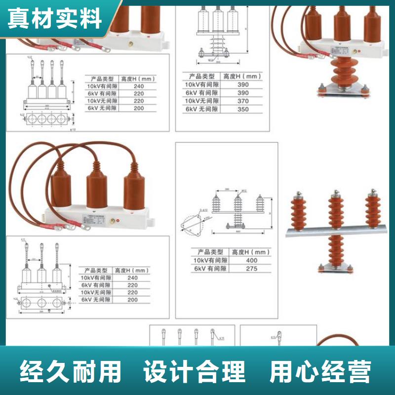 过电压保护器(组合式避雷器)TBP-A-42/400W