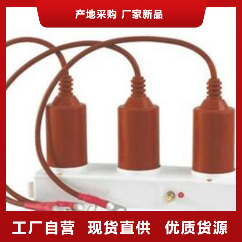 过电压保护器(组合式避雷器)TBP-A-42/400W