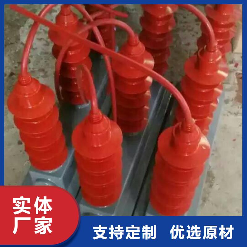 保护器(组合式避雷器)YHB5WZ-17/45*17/45