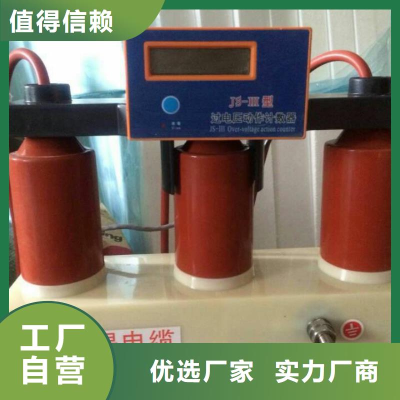 【昌江县】保护器(组合式避雷器)BSTG-O-7.6