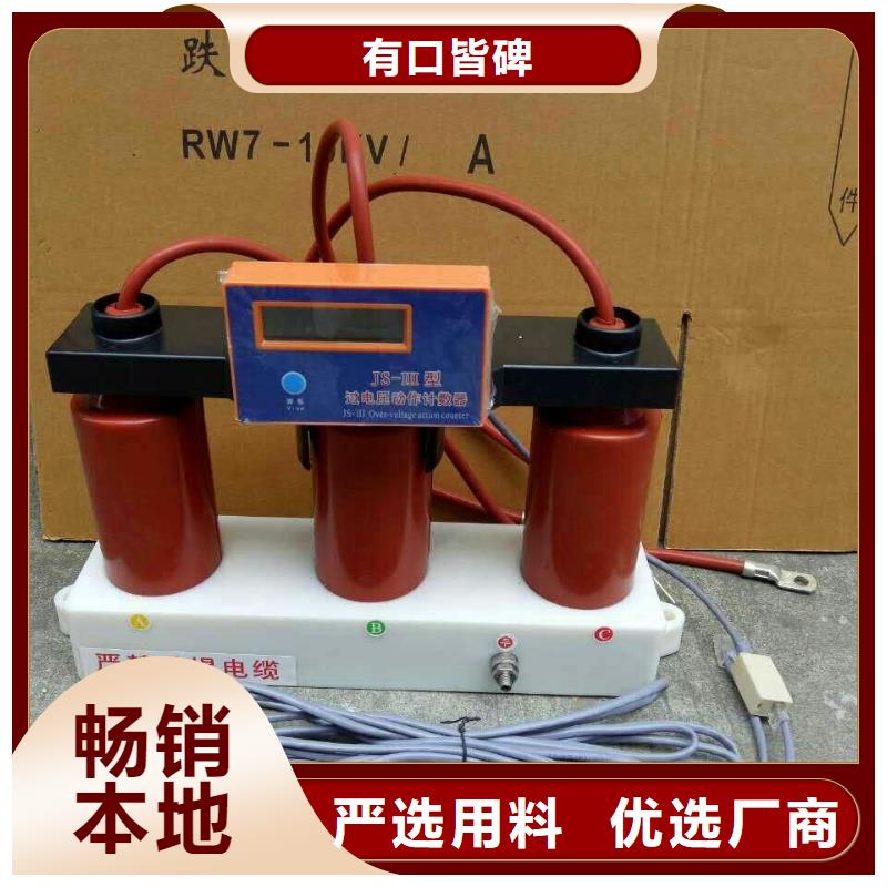 过电压保护器(组合式避雷器)YH5WR-5/13.5*5/13.5