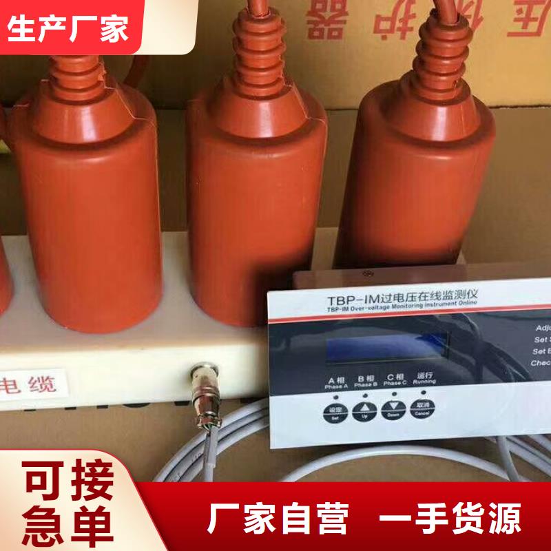 【羿振电力牌】过电压保护器TBP-A-42F/630W