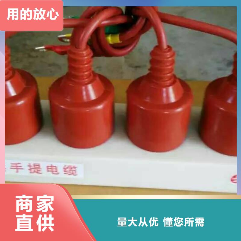 保护器(组合式避雷器)TBP-Y-A/10-T组合过电压保护器