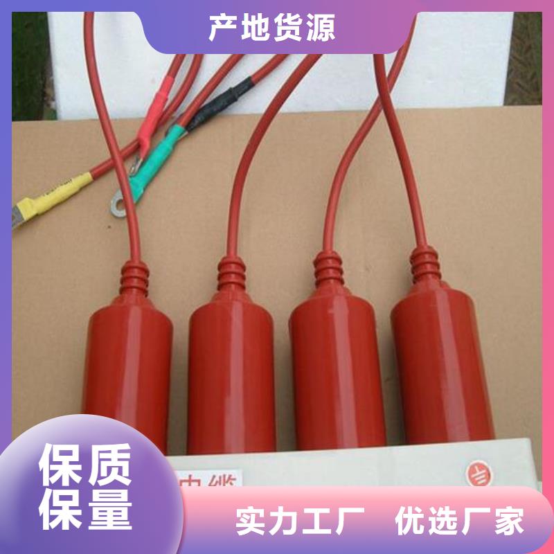 保护器(组合式避雷器)YHB5WZ-10/27*10/27.0