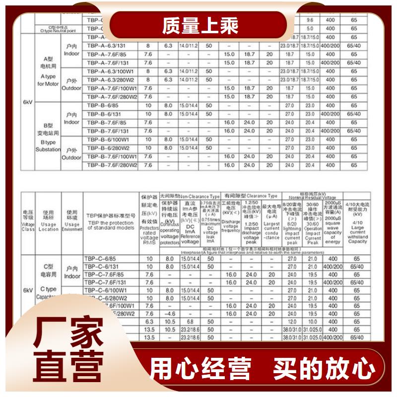 ＿过电压保护器(组合式避雷器)TGB-B-42/W