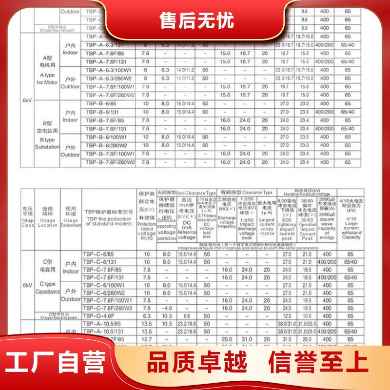 【组合式避雷器】TBP-B-42F/400W1