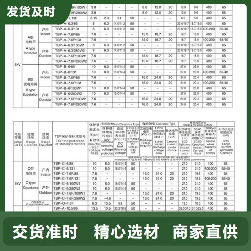 【过电压保护器】TBP-A-35/400W1