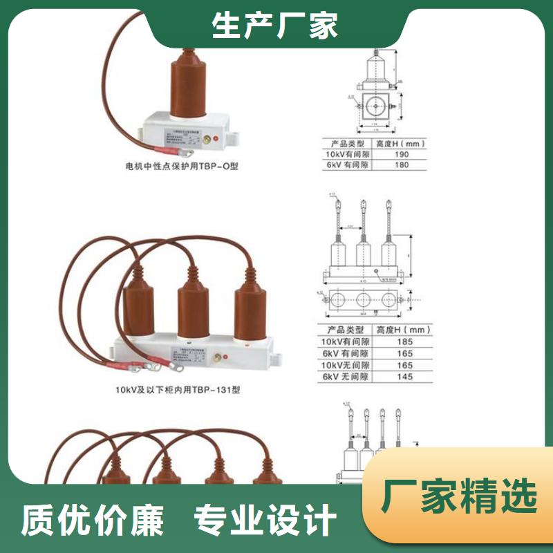 过电压保护器(组合式避雷器)TBP-B-35/310