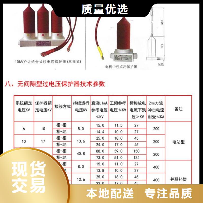 过电压保护器(组合式避雷器)HFB-B-42F/280-IM