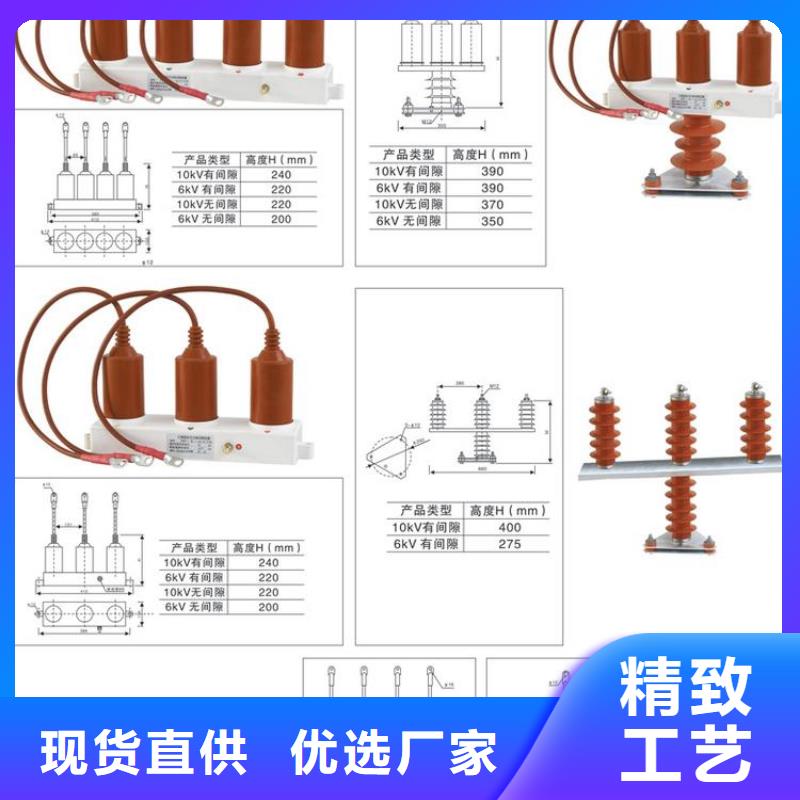 保护器(组合式避雷器)RSB-B/F-35-J