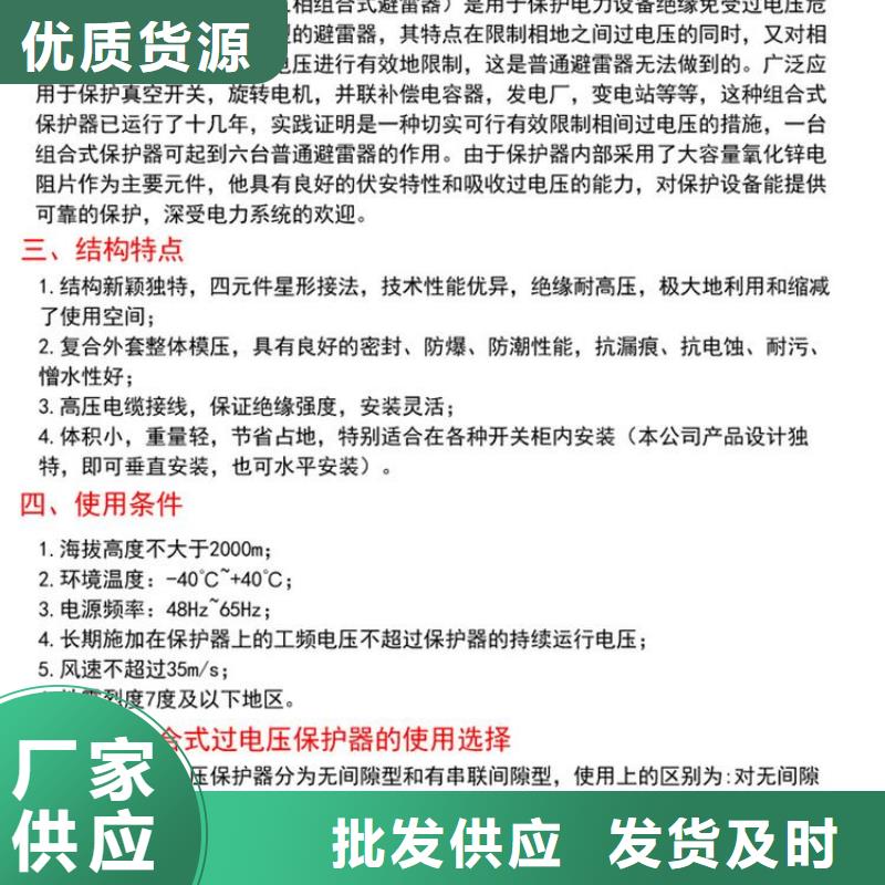 保护器(组合式避雷器)YHB5WZ-10/27*10/27.0