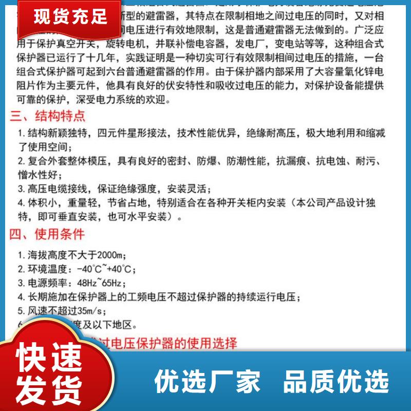 保护器(组合式避雷器)YH5WR-10/27*10/27