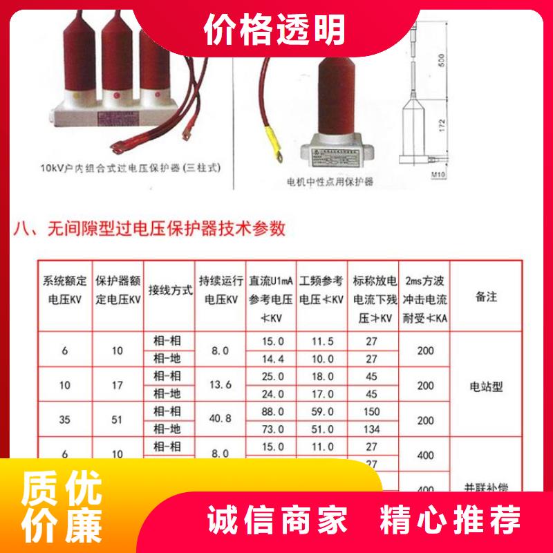 【组合式避雷器】TBP-A-42/310