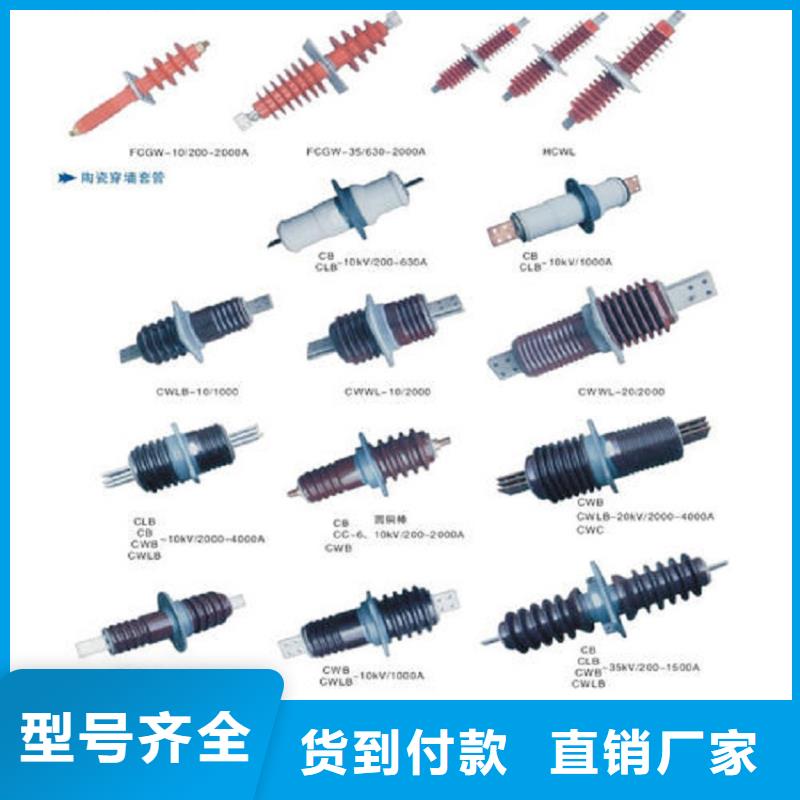 〖高压穿墙套管〗CWWL-40.5/400-4型号齐全