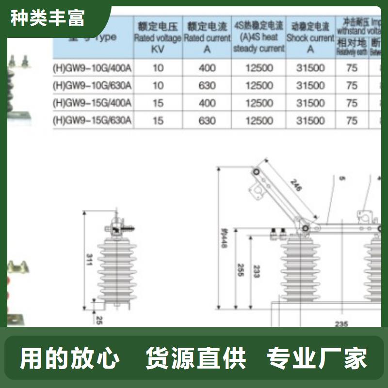 户外高压交流隔离开关：GW9-12G-400A量大从优