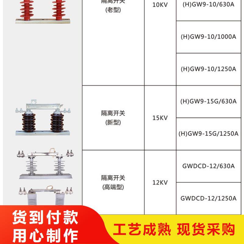 【隔离刀闸】HGW9-35/1250