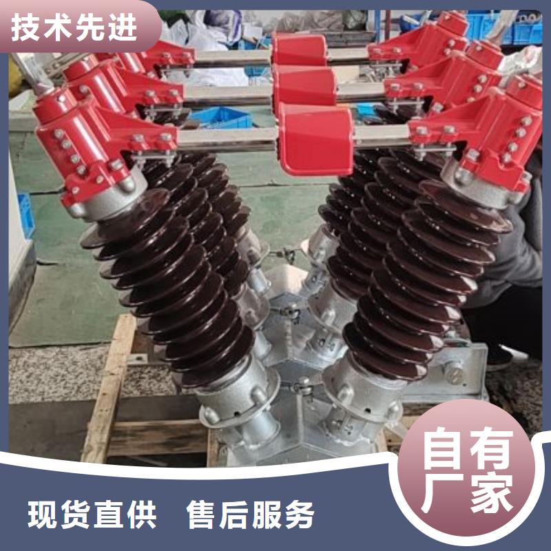 户外高压隔离开关HGW1-10KV/400