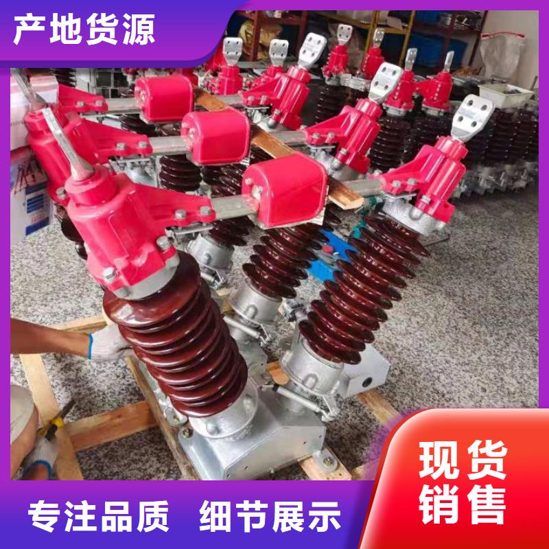 户外高压隔离开关HGW1-12KV/400