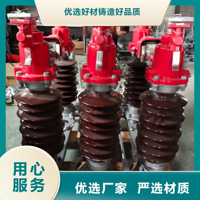 户外高压隔离开关HGW1-12KV/400