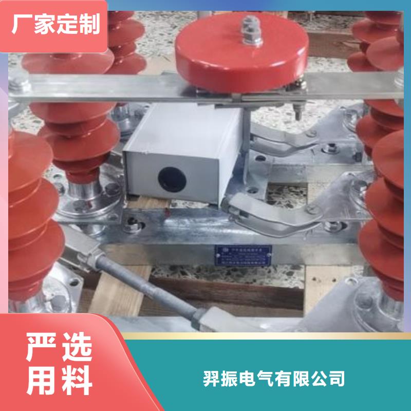 户外高压隔离开关HGW1-10KV/400