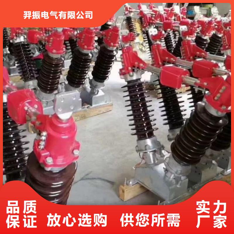 户外高压隔离开关HGW1-12KV/400