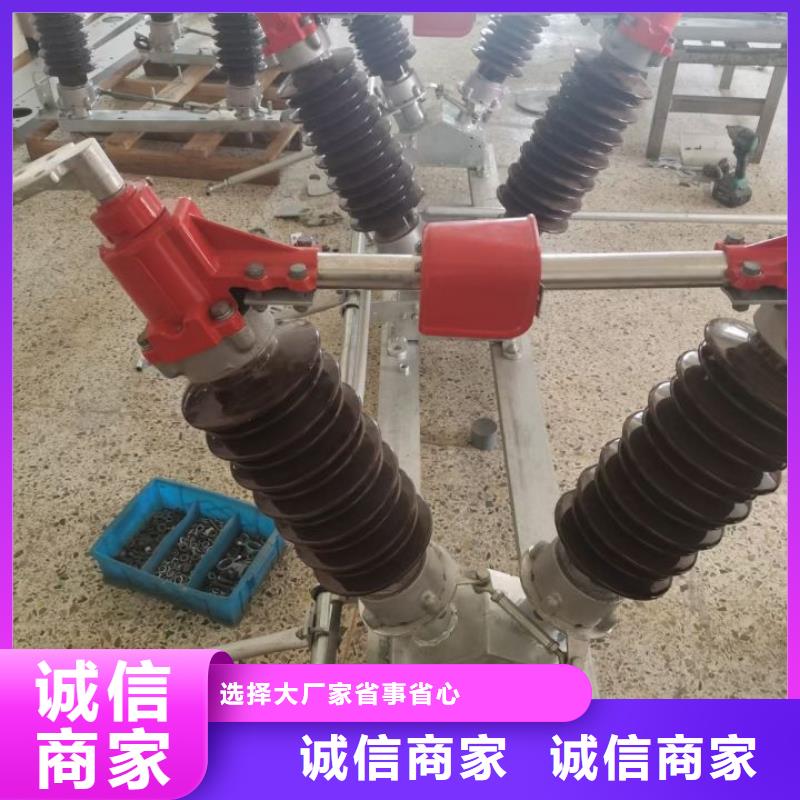 户外高压隔离开关HGW1-10KV/400