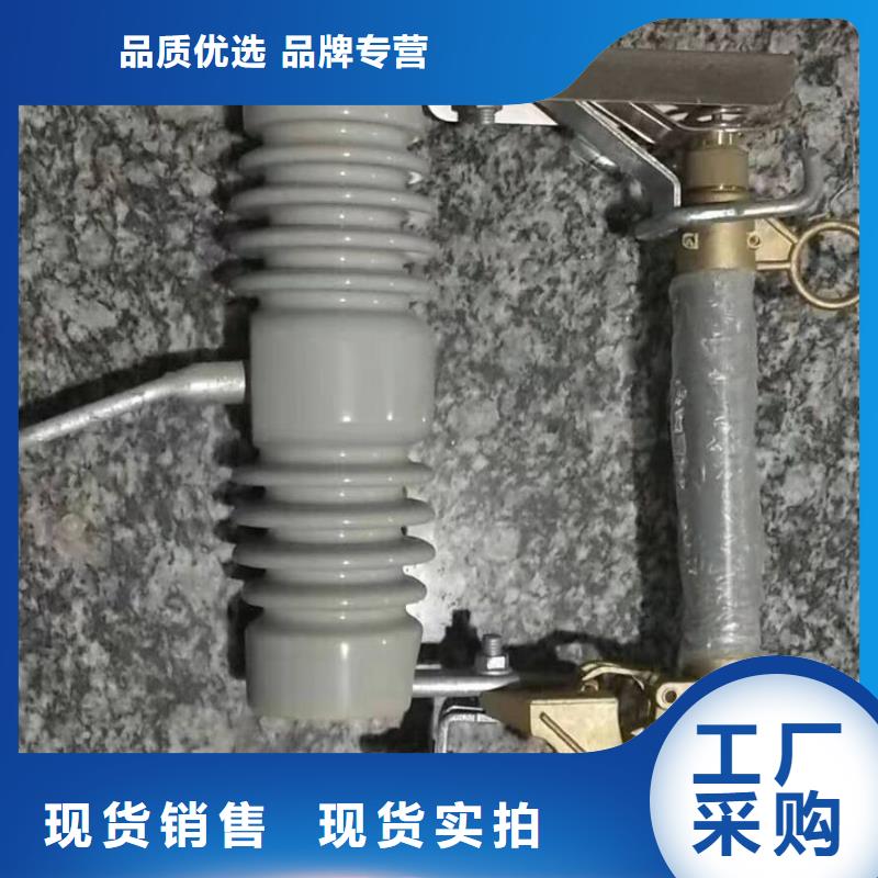 高压熔断器/HRW12-24KV/100A.