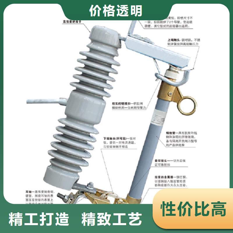 高压熔断器,AC10kV,跌落式,100A