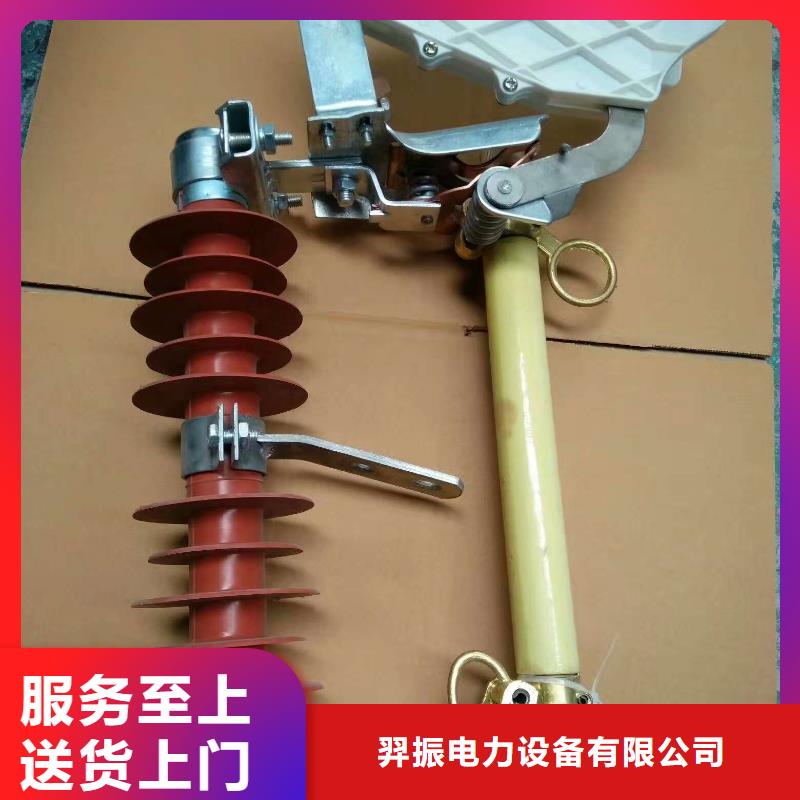 【熔断器】跌落式熔断器PRWG-10/200