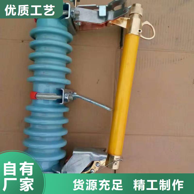 高压熔断器/HRW12-24KV/100A.