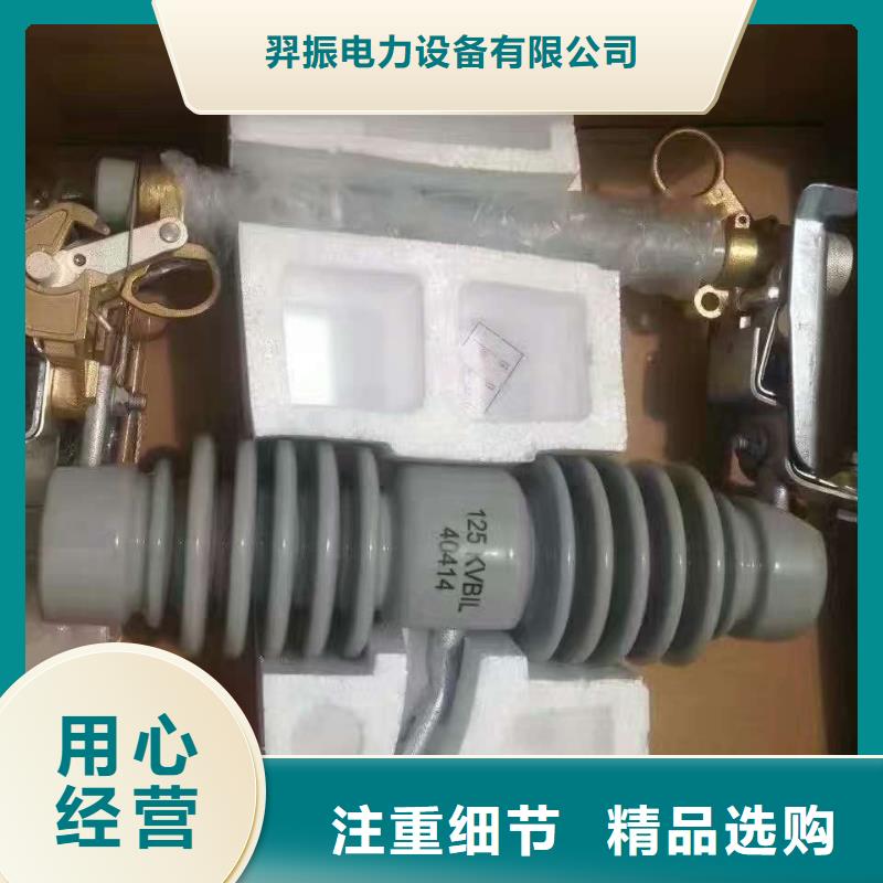 熔断器-跌落式熔断器HRW12-15F/200A