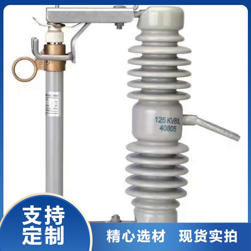 【过电压保护器/避雷器】TBP-B-42/310