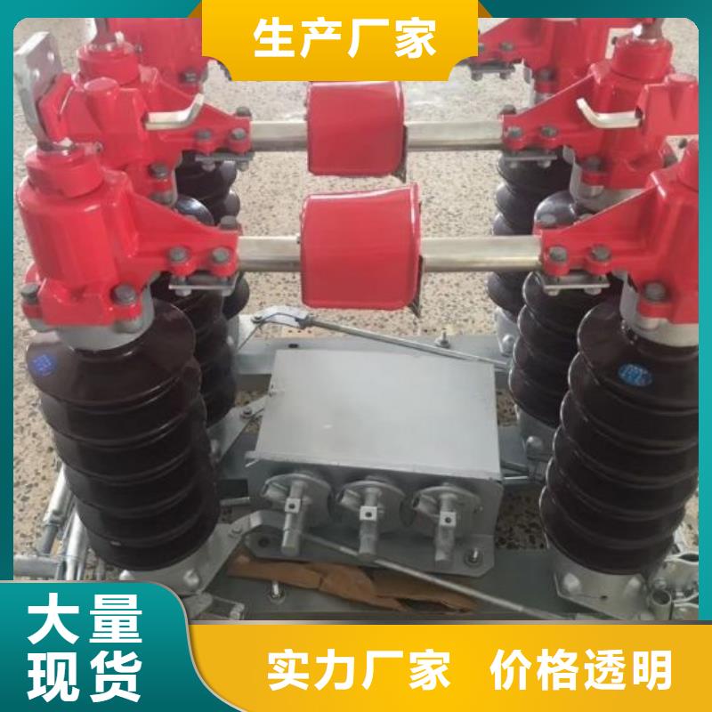 户外高压交流隔离开关HGW9-12KV/200A