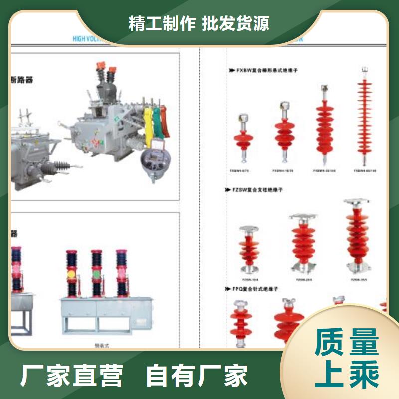 跌落式熔断器RW10-10、RW11-10