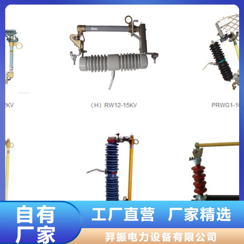 高压熔断器-RW3-10KV/100A【羿振电气有限公司】