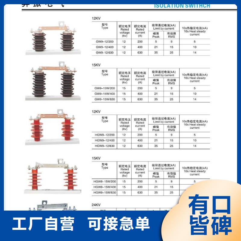 户外高压交流隔离开关HGW9-12KV/200A