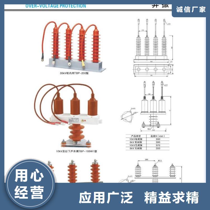 【金属氧化物避雷器】Y10W5-108/281W-羿振电气有限公司