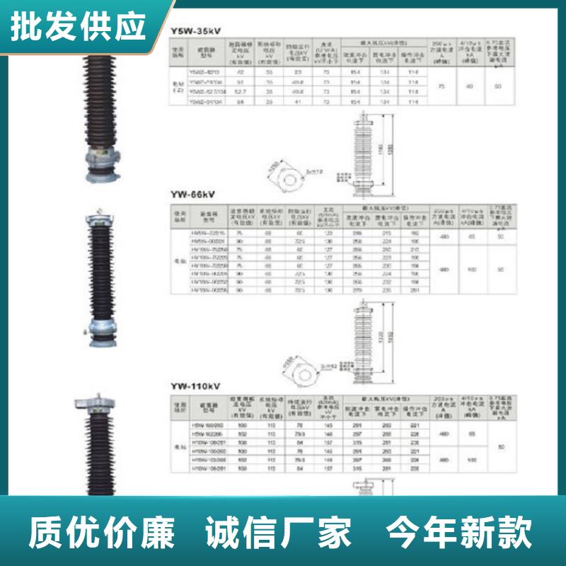 【高压穿墙套管】CWW-35/1250-3