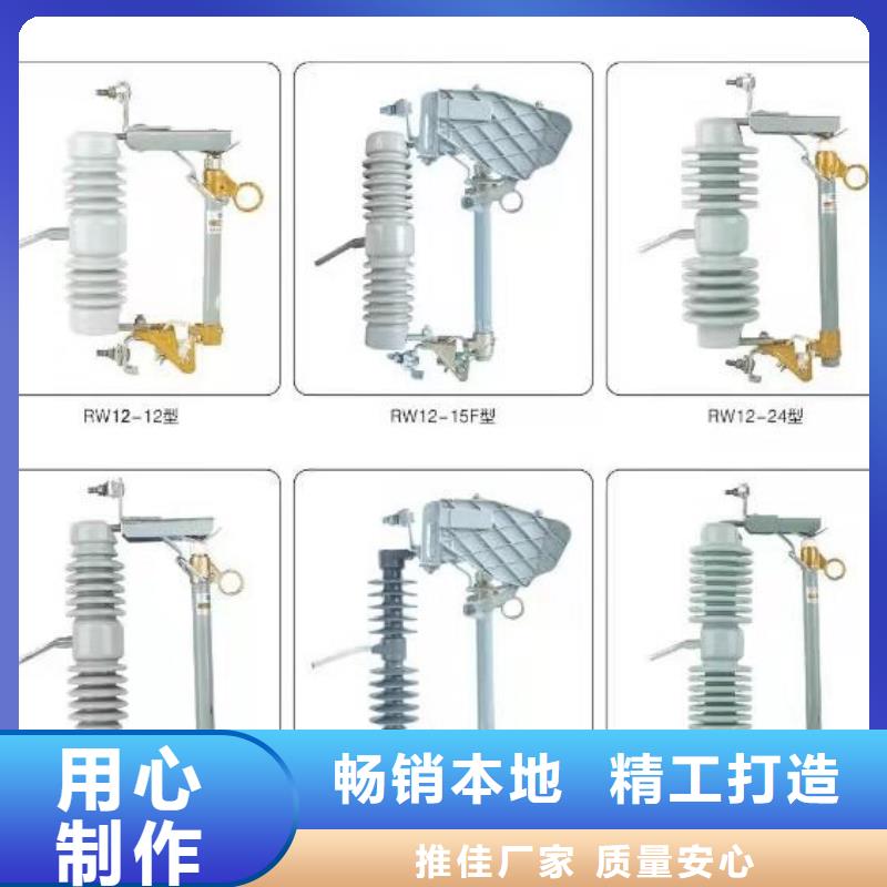 【绝缘子】支持绝缘子_ZSW1-145/4